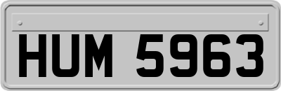 HUM5963