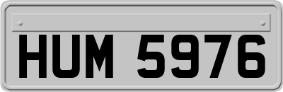 HUM5976