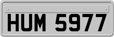 HUM5977