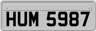 HUM5987