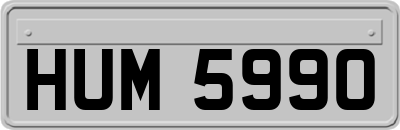 HUM5990