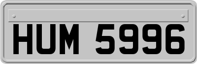 HUM5996