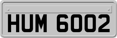 HUM6002