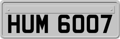 HUM6007