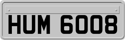 HUM6008