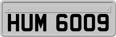 HUM6009