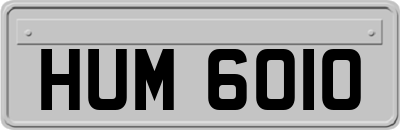 HUM6010