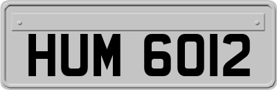 HUM6012