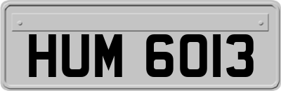 HUM6013