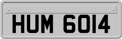 HUM6014