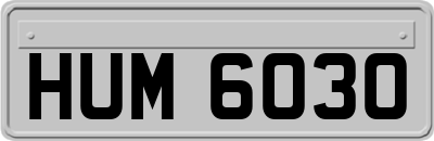 HUM6030