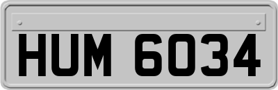 HUM6034