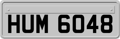 HUM6048