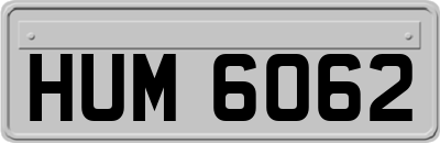 HUM6062