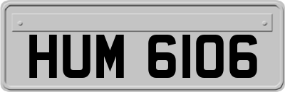 HUM6106