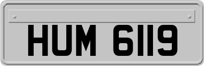 HUM6119