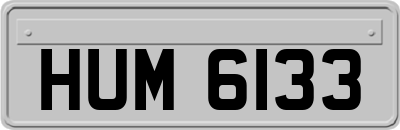 HUM6133