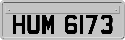 HUM6173