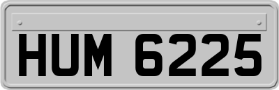 HUM6225