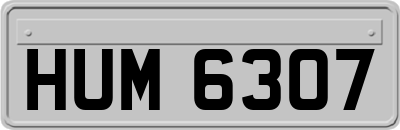 HUM6307