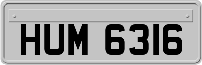 HUM6316