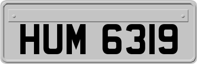 HUM6319