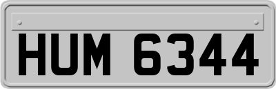 HUM6344