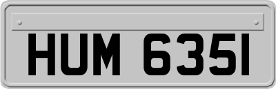 HUM6351