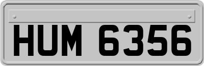 HUM6356