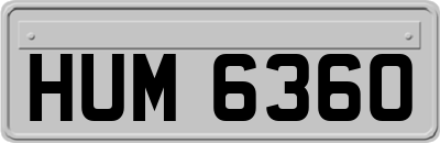 HUM6360