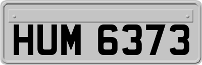 HUM6373