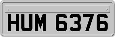 HUM6376