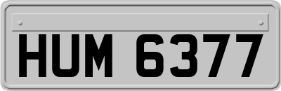 HUM6377