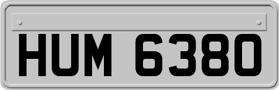 HUM6380