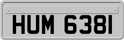 HUM6381