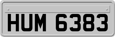 HUM6383