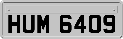 HUM6409