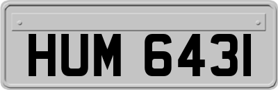 HUM6431