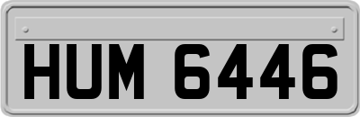 HUM6446