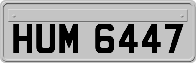 HUM6447