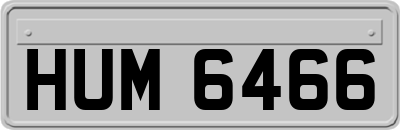 HUM6466