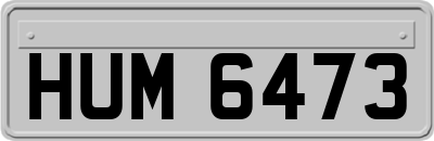 HUM6473