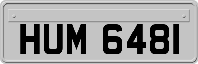 HUM6481