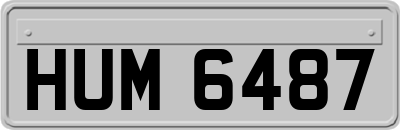 HUM6487