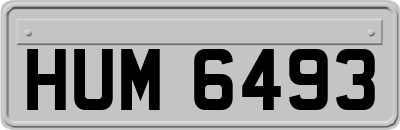 HUM6493