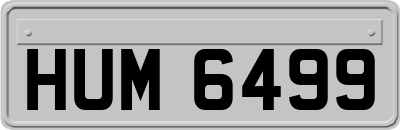 HUM6499