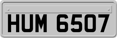 HUM6507