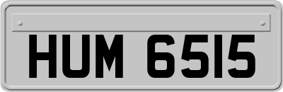 HUM6515