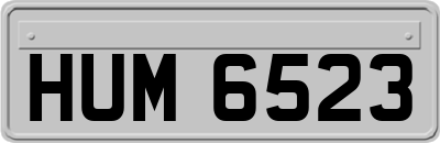 HUM6523