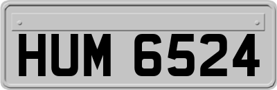 HUM6524